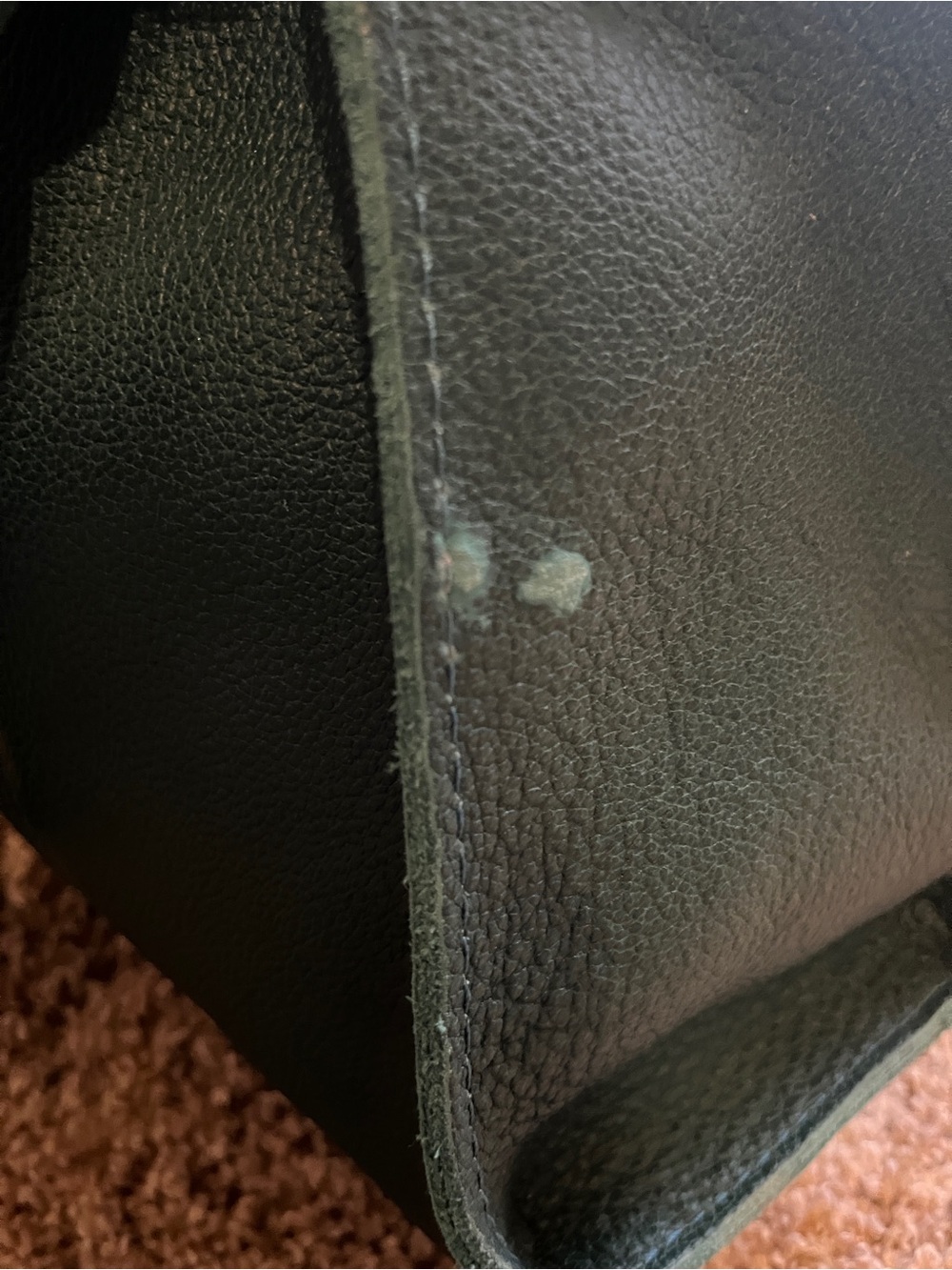Portland leather goods East-West Lola Zipper Tote Seaglass - Picture 7 of 9
